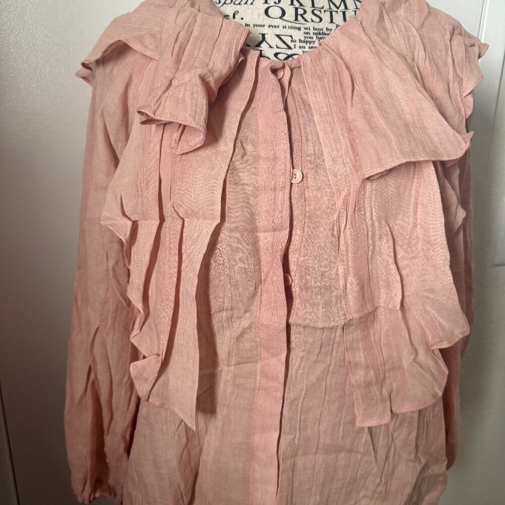 NWT Zara Pink Blouse